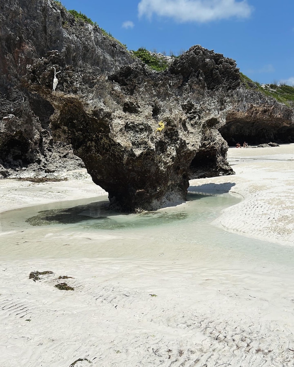A quiet beach fringed with trees near Jambiani, Zanzibar